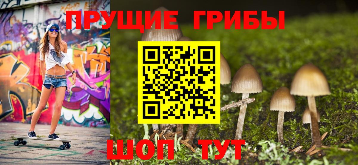 Галлюциногенные грибы Psilocybine cubensis  Вход с VPN  Похвистнево 
