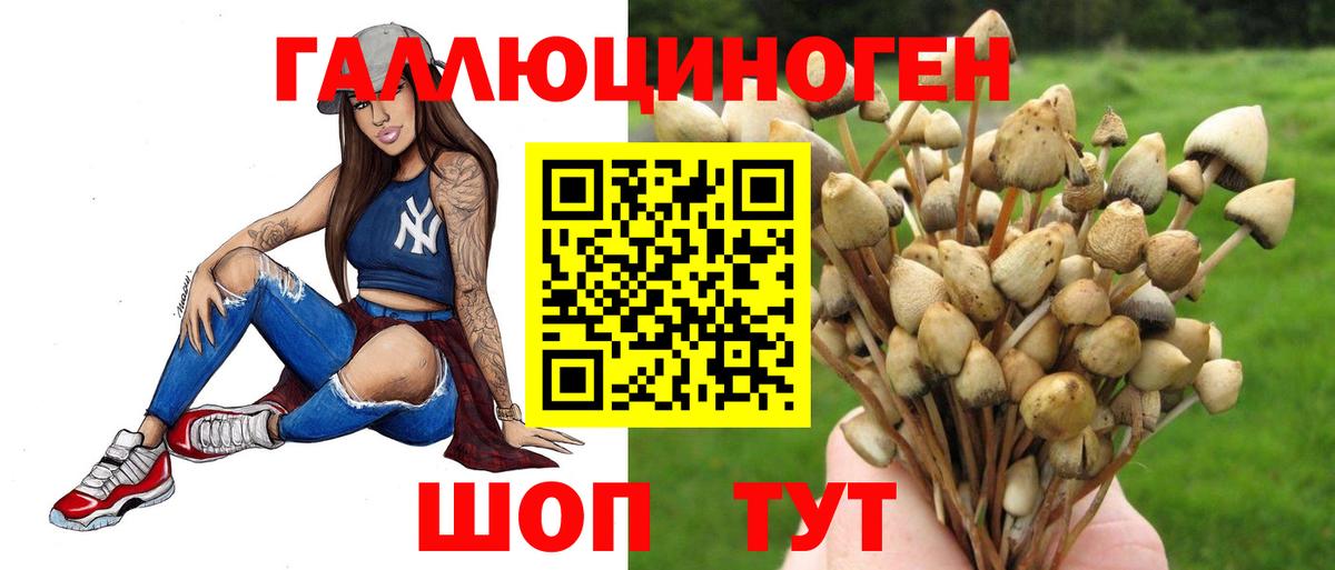 Меф кристаллы  Codein  Похвистнево  Конопля  Мефедрон  ГАШ  Вход с VPN 