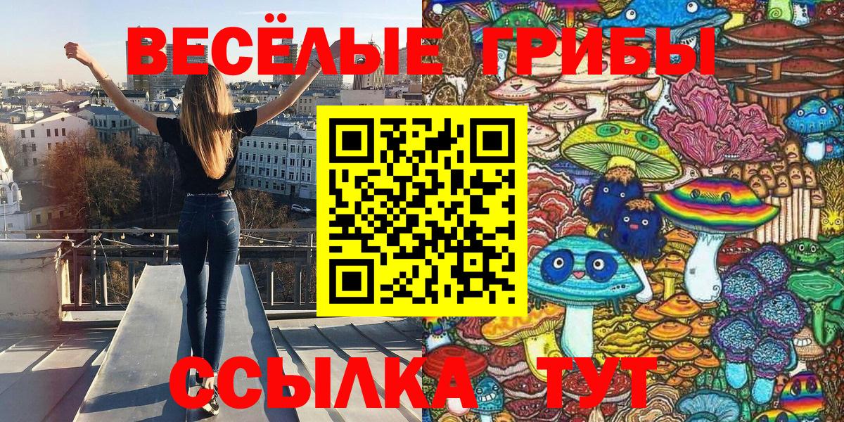 Псилоцибиновые грибы Cubensis Похвистнево