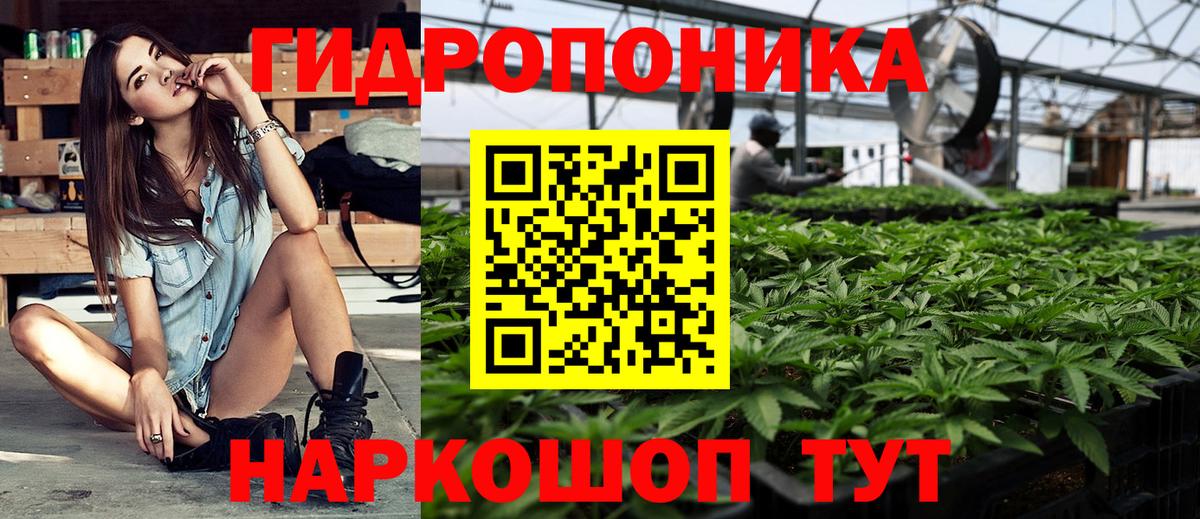 Бошки Шишки семена  Каннабис планчик  Канабис гибрид  Вход с VPN  Похвистнево 